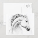 Recherche de étalon blanc cartes postales Équin