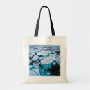 Search for arctic islands accessories Polar bear