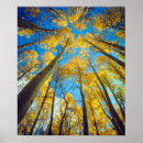 Search for danita delimont posters Aspen