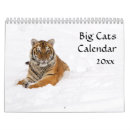 Search for big cat calendars Snow leopard