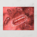 Recherche de bactérien posters Microorganisme