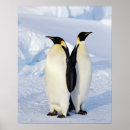 Search for emperor penguin posters Animals in the wild