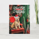 Search for wheaten terrier christmas cards Pets