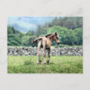 Recherche de poney de peinture cartes postales Peinture à l'huile