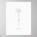Search for vintage carnation art Antique