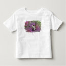 Search for ruby throated tshirts Motion