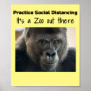 Search for gorilla posters Ape
