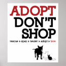 Search for adoption art Spay