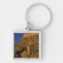 Search for thorn keychains Cacti