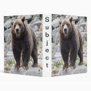 Search for brown bear binders Nature