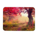 Search for bright landscape magnets Autumn