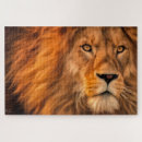 Recherche de lion puzzles Chat