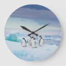 Search for penguin clocks Ice