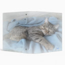Recherche de somnolent bureau fournitures Mignon