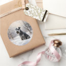 Recherche de schnauzer miniature autocollants Noël