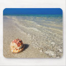Search for shell mousepads Coast