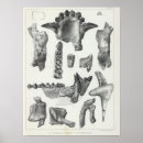 Search for report posters Drawings