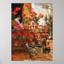 Recherche de géranium posters Géraniums rouges