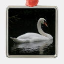 Search for grace ornaments Cute
