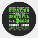 Recherche de orgue autocollants Rein