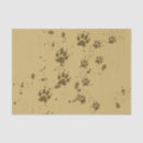 Search for paw print tissue paper Tracks
