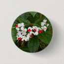 Search for bleeding buttons Flower
