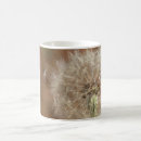 Recherche de pissenlit tasses Graines