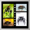 Search for jumping posters Male