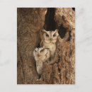 Search for sticker postcards Animal