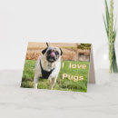 Search for love pug cards Cute