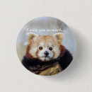 Search for red brown buttons Bear