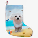 Search for maltese christmas stockings Animal