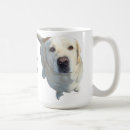 Recherche de nourriture tasses Café
