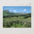 Search for crested butte postcards Wildflowers