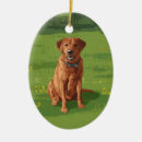 Search for hunting dog ornaments labrador retriever