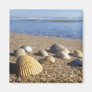 Recherche de greg johnston magnets Floride