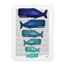 Search for blue whale magnets Marine life