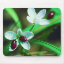 Search for selected electronics Wildlife