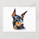 Recherche de dobermann cartes postales Canine