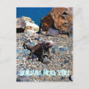 Search for tropical lizard postcards Iguana