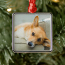 Search for couch ornaments Cute