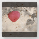 Search for apple coasters Heart