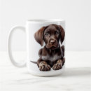Search for shorthair mugs Puppy
