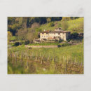 Recherche de chianti cartes postales Vignoble