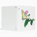 Search for swallowtail binders Insect