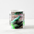 Search for habitat mugs Wildlife