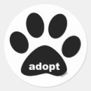 Search for adopted stickers Paws