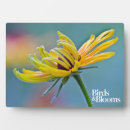 Recherche de yeux plaques Fleurs