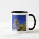 Search for cook islands mugs Sand