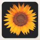 Search for sunflower coasters Stylish